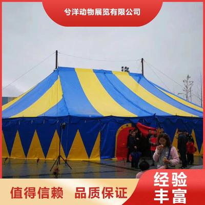 馬戲團/羊駝 美人魚表演出租技術成熟